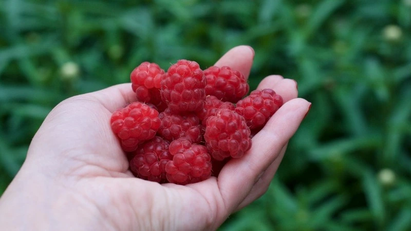 Церковный праздник 14 июля 2024: что нельзя делать в этот день, приметы