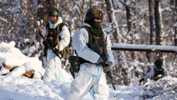 ВЦИОМ: 65% россиян выразили поддержку СВО