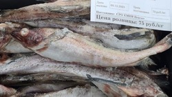 Рыбу по цене от 58 рублей за килограмм доставили в шесть районов Сахалина 7 декабря