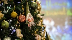 Новый 2026 год на Сахалине начнется со снега, а на Курилах ожидается штормовой ветер