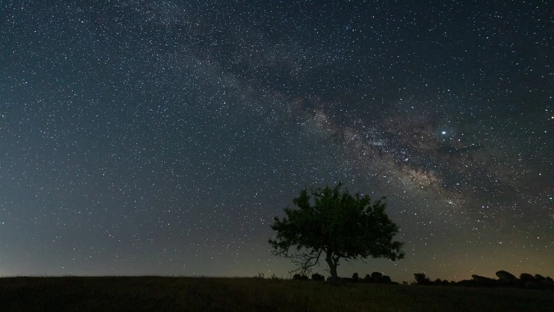 Гороскоп на 29 ноября 2024 года для всех знаков зодиака: важные события и советы