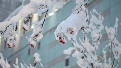 Морозы до −30 и порывистый ветер накроют Сахалин и Курилы 5 февраля