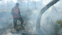 В зону лесных пожаров попали два района Сахалина