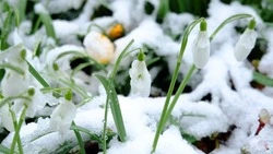 До +4 и без осадков: прогноз погоды в Южно-Сахалинске на 6 апреля 