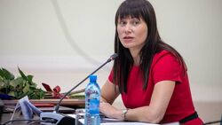 Лимаренко назвал победой вхождение региона в ТОП-30 рейтинга инвестиционной привлекательности