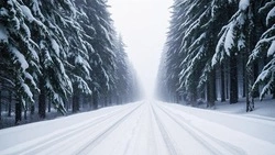 Часть трассы Невельск — Томари — аэропорт Шахтерск закрыли из-за плохой видимости