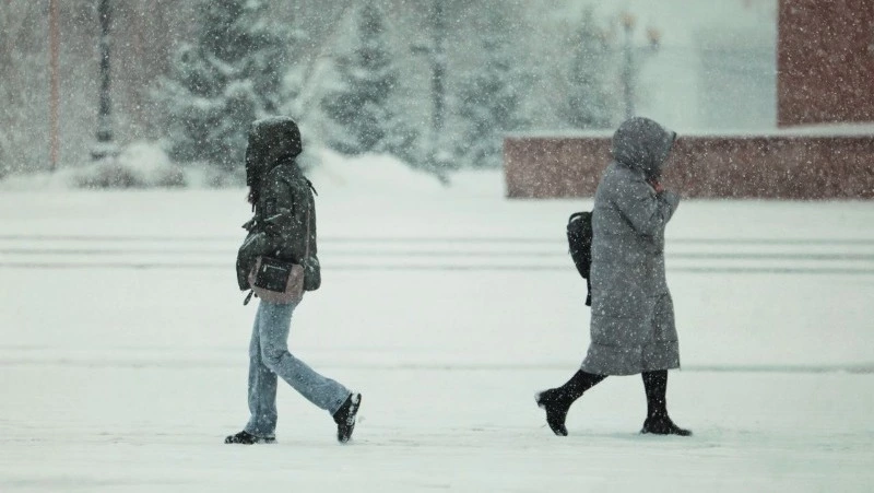 МЧС: юг Сахалина и Курил накроет сильным снегом и штормовым ветром