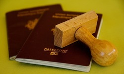 В России планируют ввести 4 новых вида виз для иностранцев
