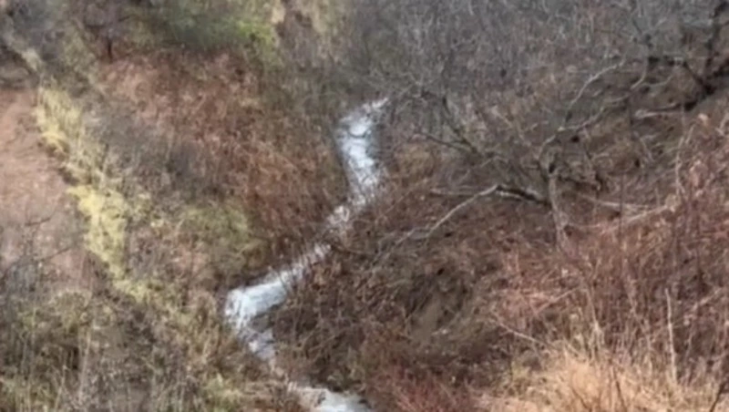 Движение на дороге Невельск — Холмск ограничили из-за схода грязевых масс