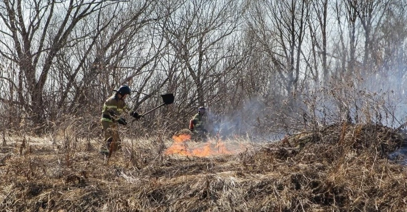 Пожарные ликвидировали 3 случая возгорания травы в двух районах Сахалина 27 апреля