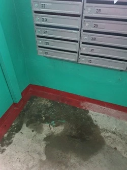 После ремонта в подъезде жилого дома Холмска начала протекать крыша