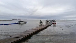 Съемочная группа ОТВ Сахалин уехала за участниками «Дня тунца»