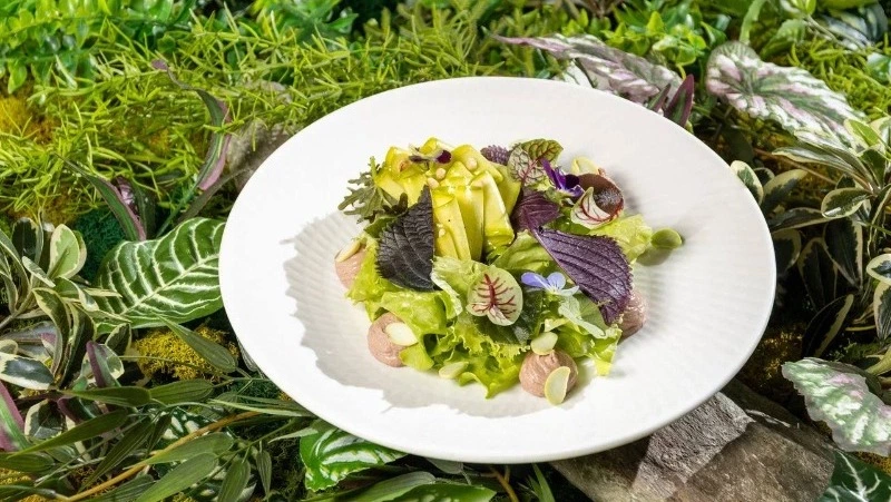 Зеленый салат с печенью трески и брокколи: легкий и полезный рецепт от сахалинского шеф-повара