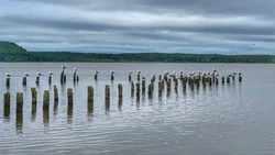 Ведущие «Геометки» показали жителям Сахалина маршрут к красивому озеру