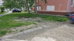 Жители Южно-Сахалинска год ждут высадку газона после ремонта двора