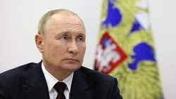 Путин поддержал создание молодежного движения по экологии