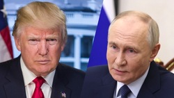 Телефонный разговор Путина и Трампа: о чем лидеры США и России говорили полтора часа