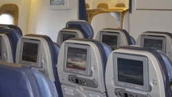 Житель Владивостока ответит в суде за дебош на самолете из Южно-Сахалинска