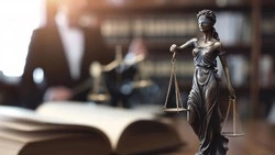 Жительница Южно-Сахалинска отправится в колонию за продажу наркотиков своей знакомой