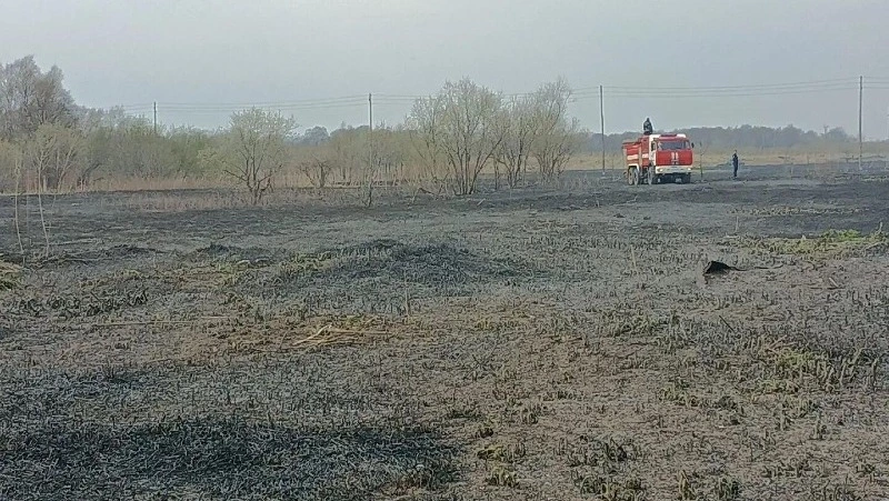 Пять гектаров травы и автосервис сгорели на Сахалине за один день