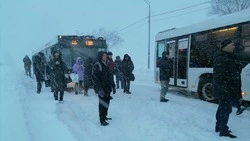 «Увязли с голой резиной»: сахалинцы идут пешком на работу из Лугового