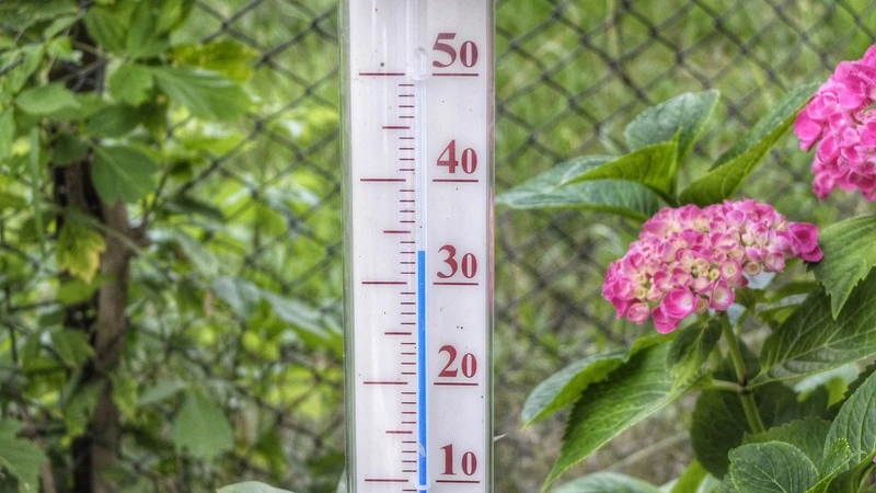 Названа причина аномально высоких температур на Сахалине