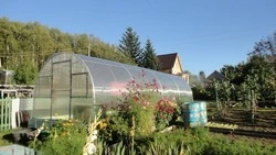 Росреестр предложил штрафовать россиян за пустующие дачные участки