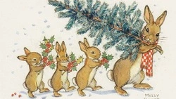 Черный кролик принесет удачу в Новый год-2023: советы жителям Сахалина