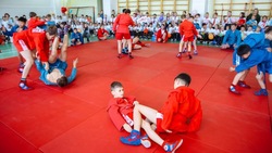 «Za Самбо» провели мастер-классы для детей в школах Южно-Сахалинска