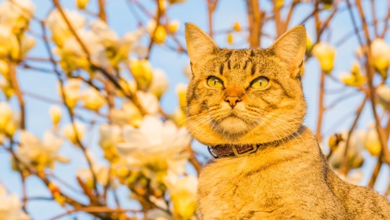 Народные приметы на 10 апреля 2024: что нельзя делать в этот день