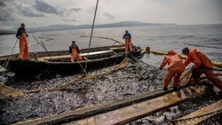Россия заняла первое место в мире по добыче лосося