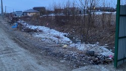 Сугробы ушли — мусор остался: сахалинцы жалуются на кучи отходов во дворах