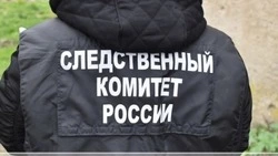 Житель Невельска попытался придушить, а затем ударил ногой полицейского при задержании   