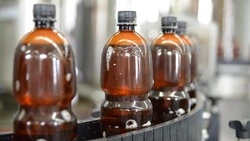 На Сахалине старейший пивзавод «Колос» задолжал налоговой больше 66 млн рублей