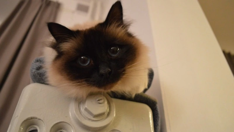 Ремонт более 90 км теплосетей выполнили в Сахалинской области за 5 лет