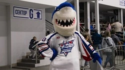 «Сахалинские акулы» попробуют откусить очки у «Русских витязей»