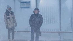 Часть автобусов в Южно-Сахалинске будут курсировать по измененным маршрутам