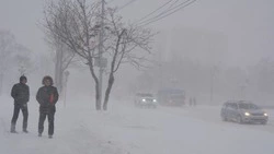 Очевидцы сообщили об умирающем в снегу мужчине в Южно-Сахалинске