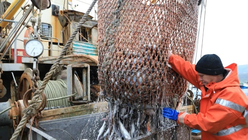 Штормы не помеха