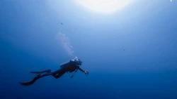 Пропавшего на Сахалине водолаза нашли в море спустя три дня