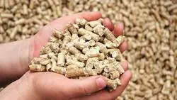 На Сахалин из Алтайского края привезли комбикорм, щедро приправленный ртутью