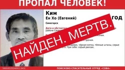 Пропавшего в лесу пенсионера нашли мертвым на Сахалине