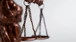 Столичный радиорежиссер в суде требует с сахалинской гимназии № 3 сто тысяч рублей 