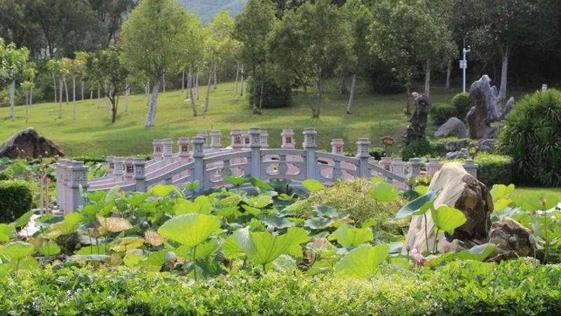 Курортная китайская Анапа