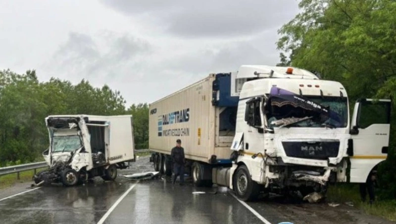 Стали известны подробности смертельного ДТП с грузовиками на Сахалине