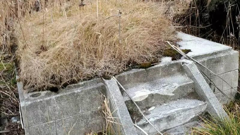 На Сахалине обнаружили новую историческую ценность