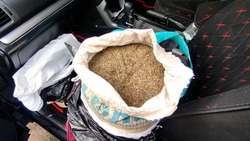 Больше двух килограммов марихуаны изъяли правоохранители у жителя Южно-Сахалинска