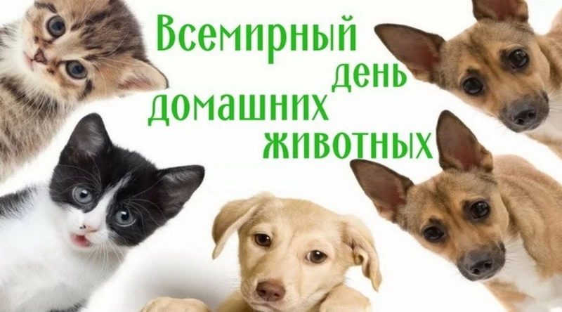 Всемирный день домашних животных 2024: картинки и открытки к празднику