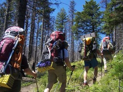 Сахалинцам советуют зарегистрироваться в МЧС перед походом в лес или горы