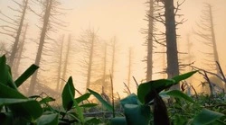 Красоты Шикотана показал участник конкурса «Дальний Восток — Земля приключений»